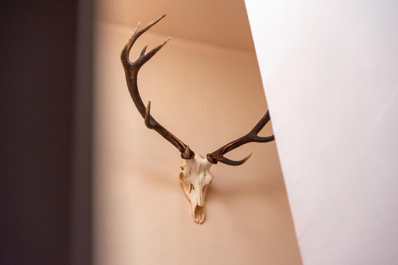 Hotel Le Cor De Chasse سانت هوبيرت المظهر الخارجي الصورة